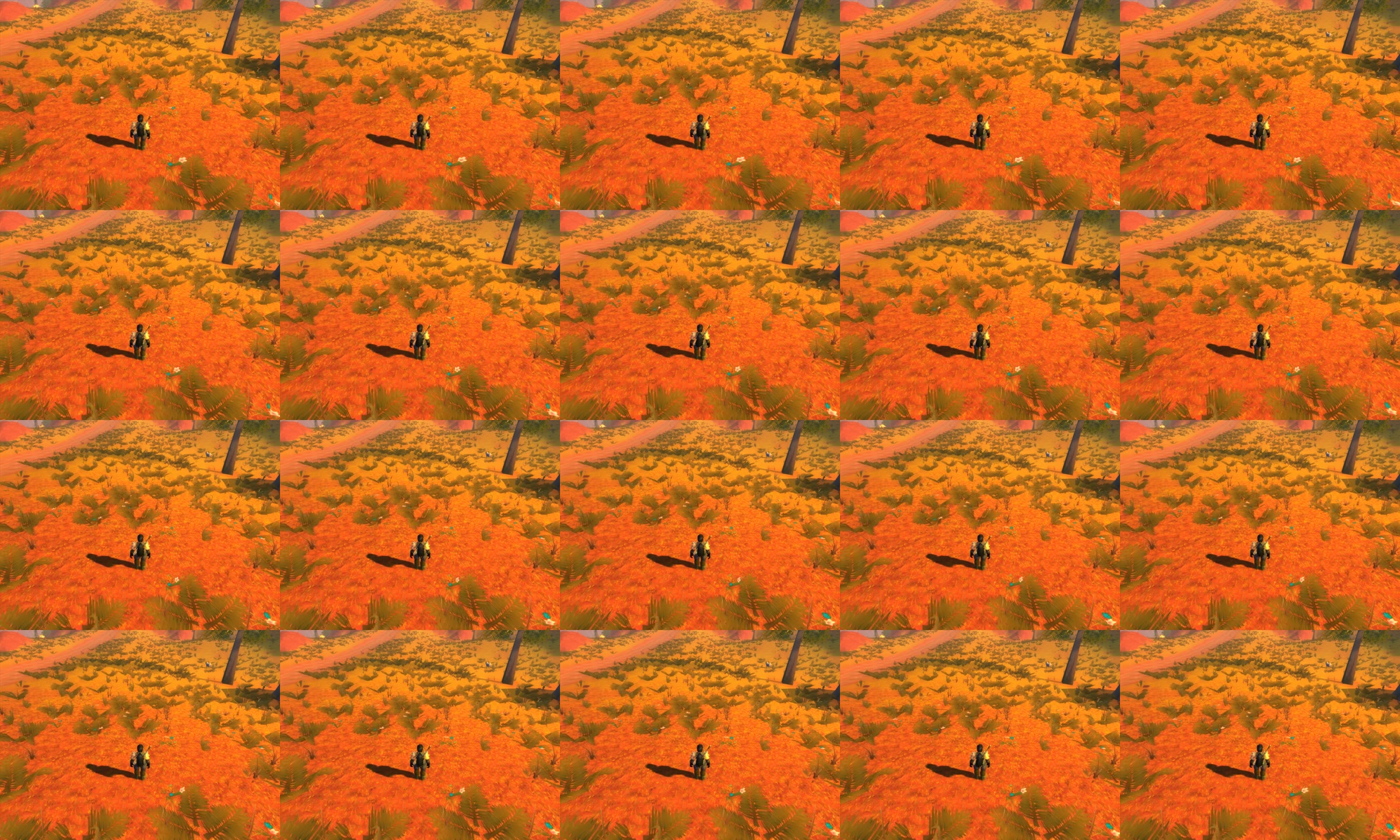 20 frames of recording 1