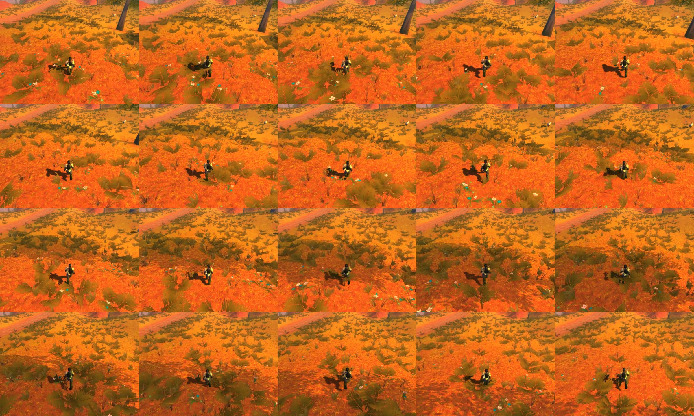 20 frames of recording 3