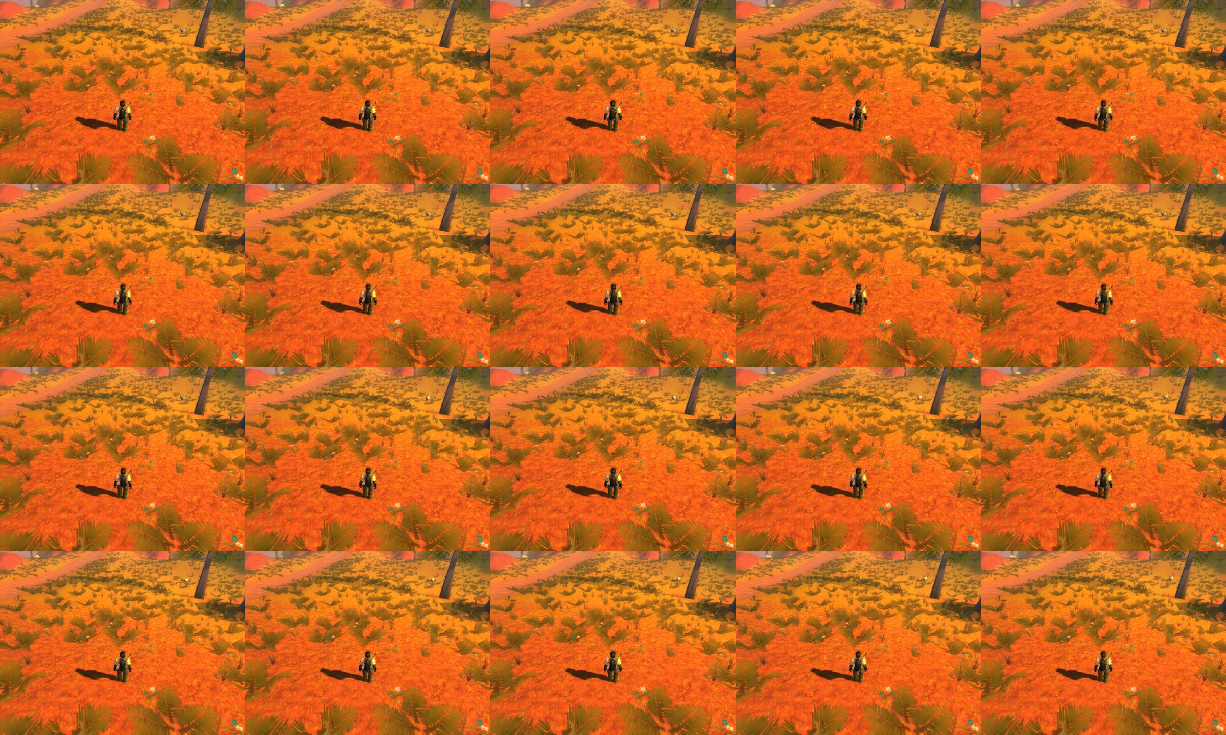 20 frames of recording 2