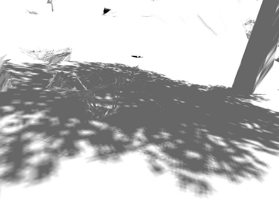 This run, shot 2